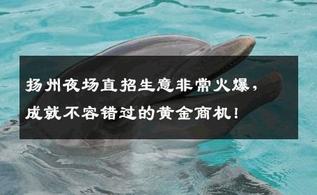 扬州夜场直招生意非常火爆，成就不容错过的黄金商机！