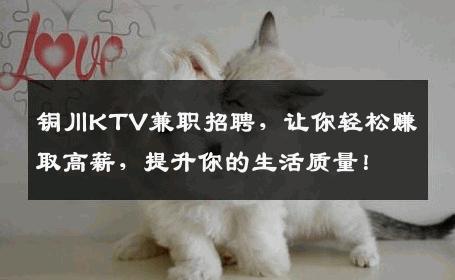 铜川KTV兼职招聘，让你轻松赚取高薪，提升你的生活质量！