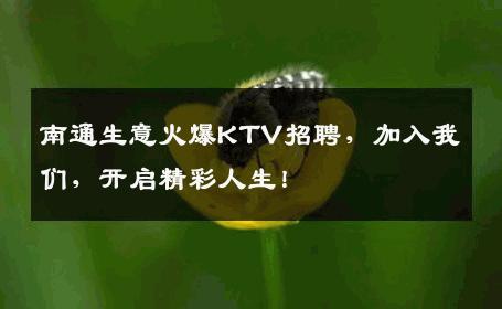 南通生意火爆KTV招聘，加入我们，开启精彩人生！