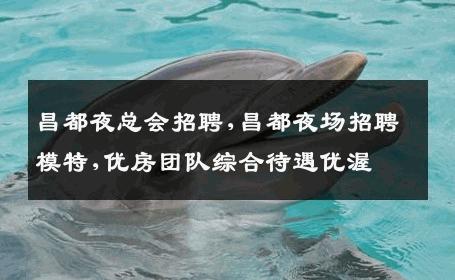 昌都夜总会招聘,昌都夜场招聘模特,优房团队综合待遇优渥