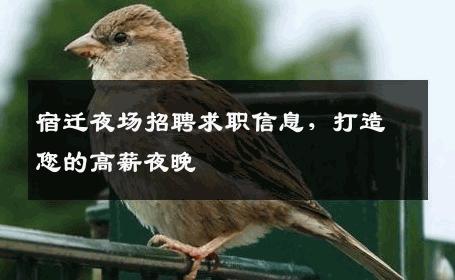 宿迁夜场招聘求职信息，打造您的高薪夜晚