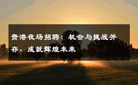 贵港夜场招聘：机会与挑战并存，成就辉煌未来