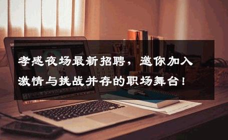 孝感夜场最新招聘，邀你加入激情与挑战并存的职场舞台！