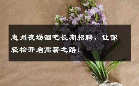 惠州夜场酒吧长期招聘，让你轻松开启高薪之路！