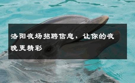 洛阳夜场招聘信息，让你的夜晚更精彩