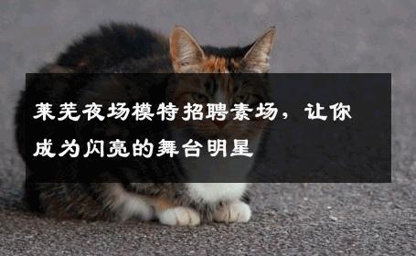 莱芜夜场模特招聘素场，让你成为闪亮的舞台明星