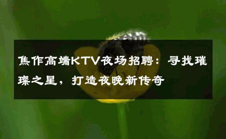 焦作高端KTV夜场招聘：寻找璀璨之星，打造夜晚新传奇