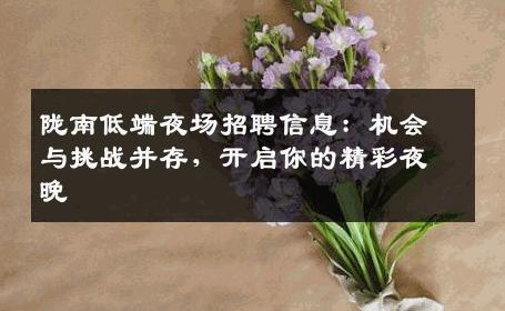 陇南低端夜场招聘信息：机会与挑战并存，开启你的精彩夜晚