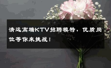 清远高端KTV招聘模特，优质岗位等你来挑战！