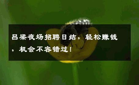 吕梁夜场招聘日结，轻松赚钱，机会不容错过！