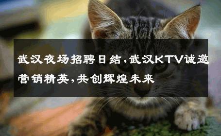 武汉夜场招聘日结,武汉KTV诚邀营销精英,共创辉煌未来