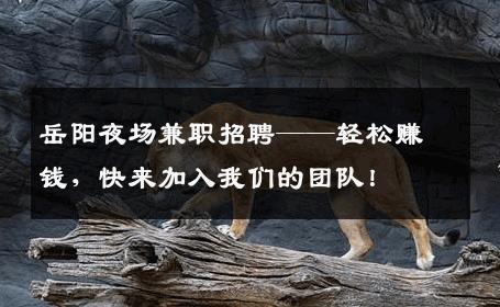岳阳夜场兼职招聘——轻松赚钱，快来加入我们的团队！