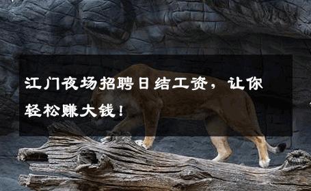 江门夜场招聘日结工资，让你轻松赚大钱！