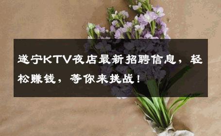 遂宁KTV夜店最新招聘信息，轻松赚钱，等你来挑战！