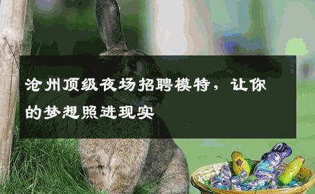 沧州顶级夜场招聘模特，让你的梦想照进现实
