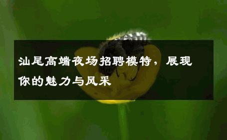 汕尾高端夜场招聘模特，展现你的魅力与风采