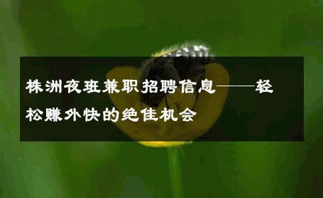 株洲夜班兼职招聘信息——轻松赚外快的绝佳机会