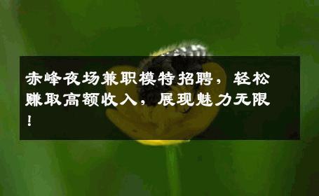 赤峰夜场兼职模特招聘，轻松赚取高额收入，展现魅力无限！