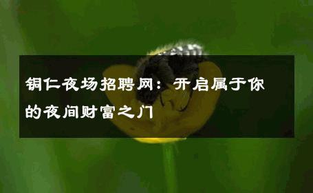 铜仁夜场招聘网：开启属于你的夜间财富之门