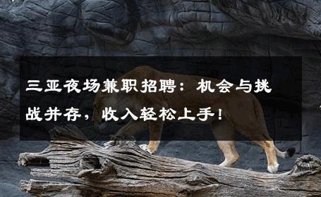 三亚夜场兼职招聘：机会与挑战并存，收入轻松上手！