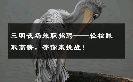 三明夜场兼职招聘——轻松赚取高薪，等你来挑战！
