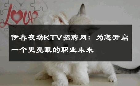 伊春夜场KTV招聘网：为您开启一个更亮眼的职业未来