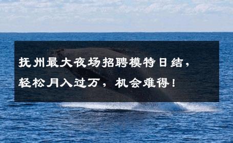 抚州最大夜场招聘模特日结，轻松月入过万，机会难得！