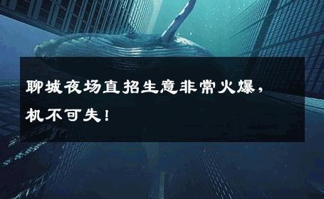 聊城夜场直招生意非常火爆，机不可失！