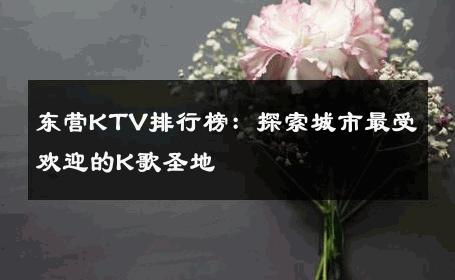 东营KTV排行榜：探索城市最受欢迎的K歌圣地