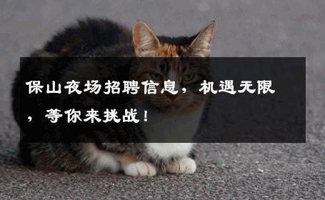 保山夜场招聘信息，机遇无限，等你来挑战！