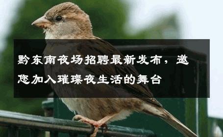 黔东南夜场招聘最新发布，邀您加入璀璨夜生活的舞台