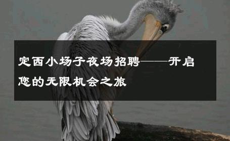 定西小场子夜场招聘——开启您的无限机会之旅