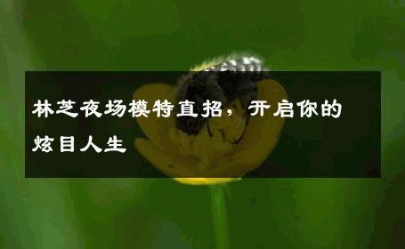 林芝夜场模特直招，开启你的炫目人生