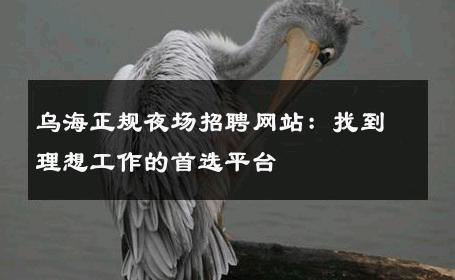 乌海正规夜场招聘网站：找到理想工作的首选平台