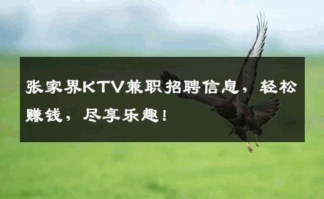 张家界KTV兼职招聘信息，轻松赚钱，尽享乐趣！