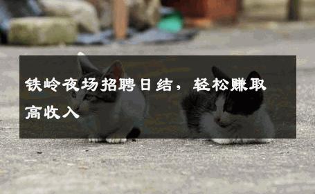 铁岭夜场招聘日结，轻松赚取高收入