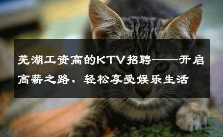 芜湖工资高的KTV招聘——开启高薪之路，轻松享受娱乐生活