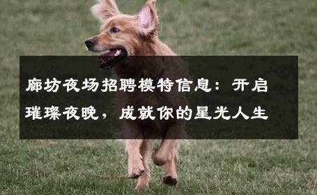 廊坊夜场招聘模特信息：开启璀璨夜晚，成就你的星光人生