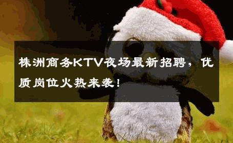 株洲商务KTV夜场最新招聘，优质岗位火热来袭！