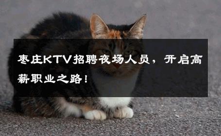 枣庄KTV招聘夜场人员，开启高薪职业之路！