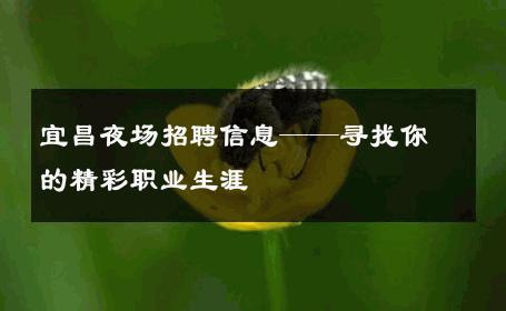 宜昌夜场招聘信息——寻找你的精彩职业生涯