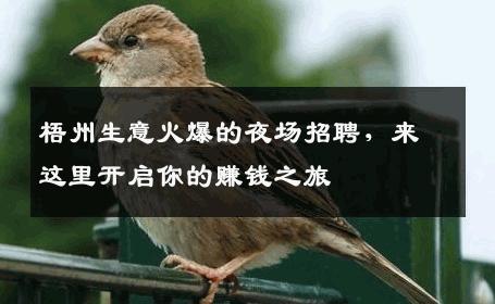 梧州生意火爆的夜场招聘，来这里开启你的赚钱之旅