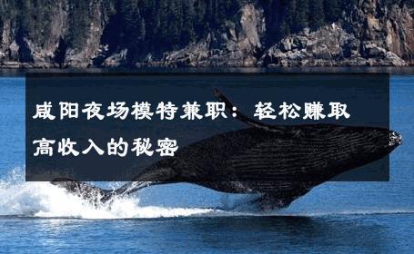 咸阳夜场模特兼职：轻松赚取高收入的秘密