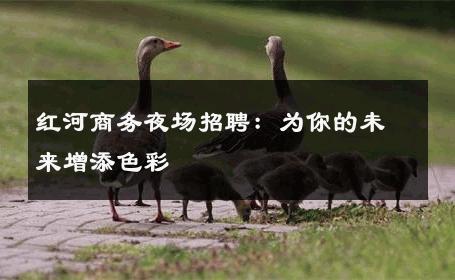 红河商务夜场招聘：为你的未来增添色彩