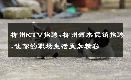 柳州KTV招聘,柳州酒水促销招聘,让你的职场生活更加精彩
