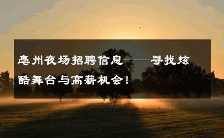 亳州夜场招聘信息——寻找炫酷舞台与高薪机会！