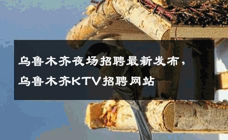 乌鲁木齐夜场招聘最新发布，乌鲁木齐KTV招聘网站