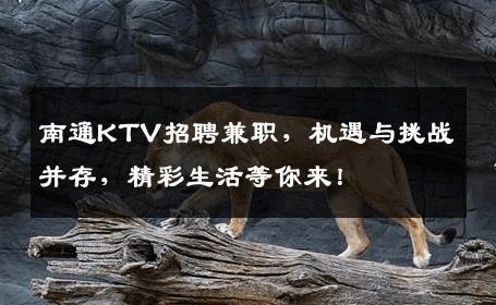 南通KTV招聘兼职，机遇与挑战并存，精彩生活等你来！