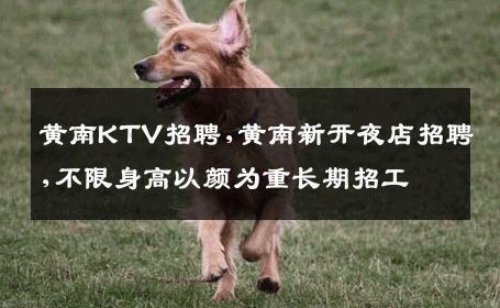 黄南KTV招聘,黄南新开夜店招聘,不限身高以颜为重长期招工