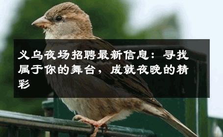 义乌夜场招聘最新信息：寻找属于你的舞台，成就夜晚的精彩
